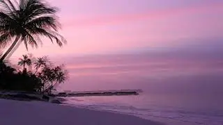 Ocean Waves for Sleep Music for 8 Hours • Relaxing Music, Sleeping Music, ocean beach waves sunset