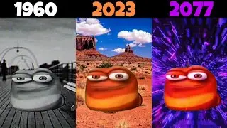 oi oi oi red larva Different years