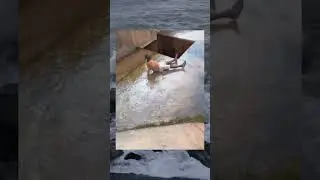 #shorts #memes #funnyvideo