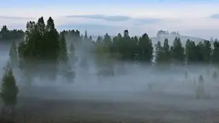Ой туманы мои, растуманы. С Днём Победы.