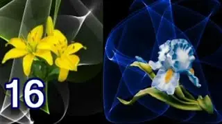 Grabovoi-Methods of Concentration-16th Day-Meditation for Health and Harmony with the Universe