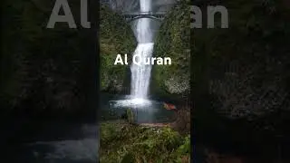 The Quran: A Translation That Will Change Your Life