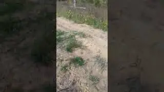 Выстрел дротиком из картофелемета
