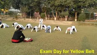 My Taekwondo Journey from White belt to Yellow belt | Nadeem Taekwondo Academy | T-interest