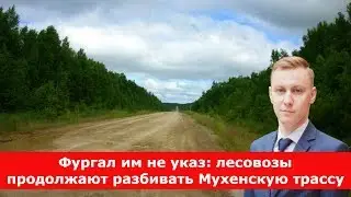 Фургал им не указ: лесовозы продолжают разбивать Мухенскую трассу
