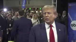 TRUMP DOGS