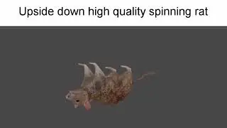 High quality upside down spinning rat [high quality horizontally spinning rat]