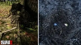 Places You Might Have Missed #1 - Red Dead Redemption 2