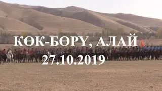 АЛАЙДАГЫ КӨК-БӨРҮ  27.10.2019