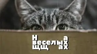 ЗАЧЕМ ОБРАБАТЫВАТЬ ЖИВОТНЫХ ОТ БЛОХ, КЛЕЩЕЙ И ГЕЛЬМИНТОВ?