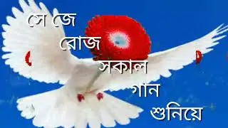 সেই পাখিটার কে জানে কি নাম. Sad Video Mixing (SVM)