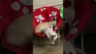 Ох не спится мне не спится🤪🤪🤪
