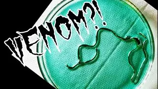 Did I Make Venom Using Chemistry?! 🧪