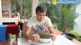 Фрукт Дуриан чем пахнет и как едят Durian fruit smelling and eating