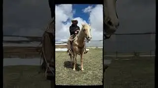 A Cowboy Who Would - Chancey Williams