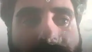 Eğil salkım söğüt Eğil