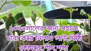 Shoker bagan 2023/শীম,লাউ,কুমরো রোপন করে নিলাম এই বছরের জন্য