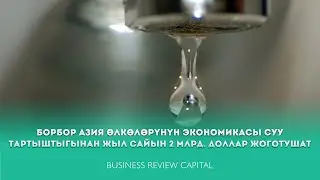 Борбор Азия өлкөлөрүнүн экономикасы суу тартыштыгынан жыл сайын 2 млрд доллар жоготушат