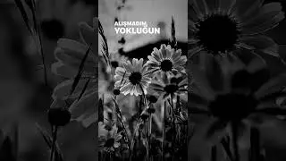 Unutmadım Kolpa&Yaprak Çamlıca