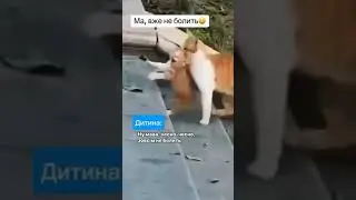 Дитина у стоматолога
