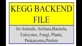 KEGG BACK END file backend file