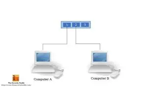 What is Port Mirroring?