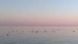 На море можно смотреть вечно... как меняется его характер