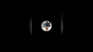жто фотошоп или рельное фото