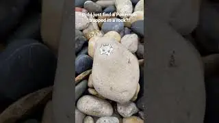 What did I just find on a beach?! 👽 #shorts #pokemon #adventure #beach