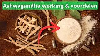 Ashwagandha: Uitleg, voordelen en ervaringen