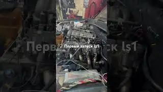 Первый запуск LS1