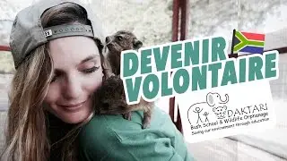 LÉA CAMILLERI - BECOME A VOLUNTEER