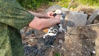 Динозавр