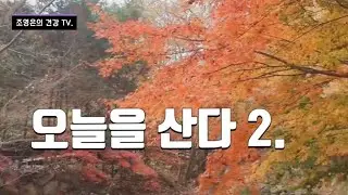 건강해져 오늘을 살고있다.아름다운 단풍으로 물든가을.
