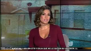 Pamela Silva Conde - Univision 