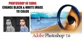 தமிழில் -Adobe Photoshop 7.0 Tutorial - How to change color black & white photo TO color #6
