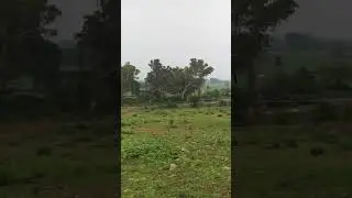 Mera gav /my village /village life / #rain #raining #barish #villagelife #sawan #meragav#myvillage