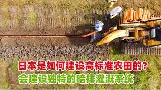 日本是如何建设高标准农田的？会建设独特的暗排灌溉系统！