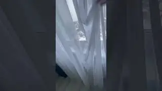 Богдана Хмельницкого 40