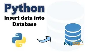 How to insert data into database in Python