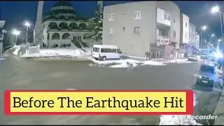 Dog continually howling and warning everyone before the Earthquake in Turkey #earthquake #turkey