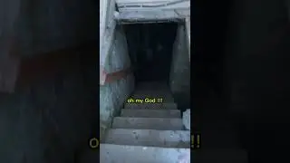 Something Was Hiding In The Basement.. 
