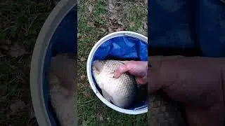 Хорошая рыбалка 🎣