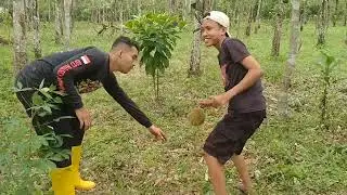 SAYEMBARA DURIAN RUNTUH !!