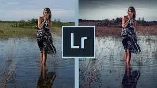 Lightroom presets +NEW