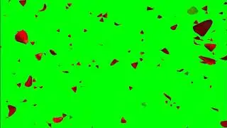 Green screen effects | Rose Petals| No copyright
