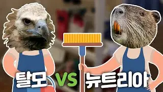 이거... 언제 샀더라? 화장실 정리하기