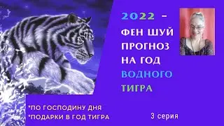 Фен Шуй прогноз на 2022 год для каждого Господина Дня и о подарках в год Тигра_3 серия
