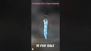 "how much blue is on it?"
