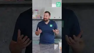 Should I home cook for my pets? 🧑‍🍳